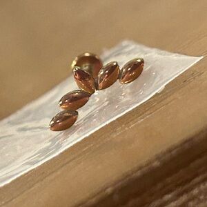 SOLD — Anondized Titanium Climber 5-Leaf Earring, Rose Gold, Internally Threaded